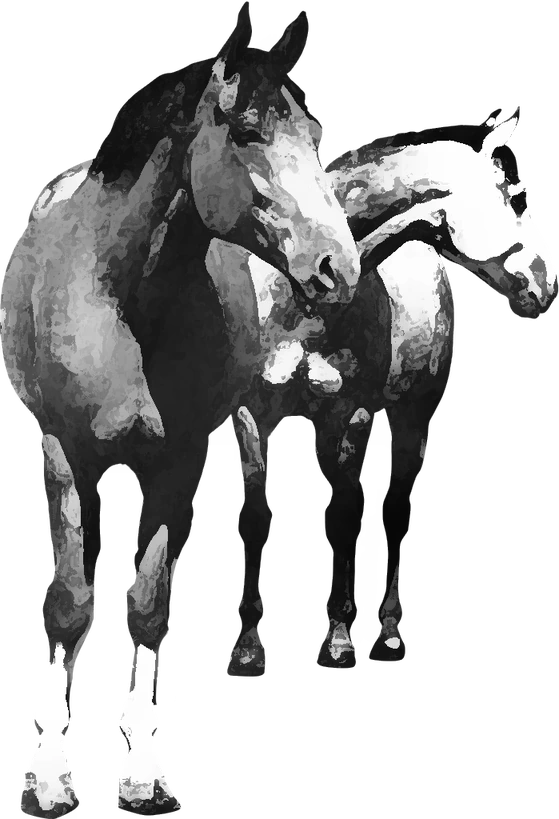 Centre équestre Les Balades à Cheval de Granier, Aime-la-Plagne — deux chevaux